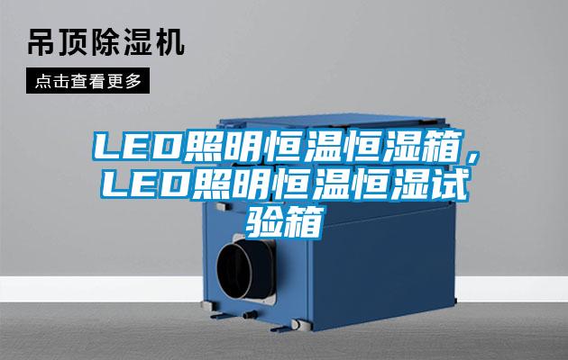 LED照明恒溫恒濕箱，LED照明恒溫恒濕試驗箱