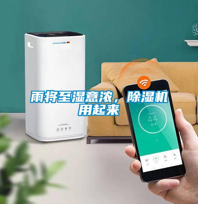 雨將至濕意濃，除濕機用起來