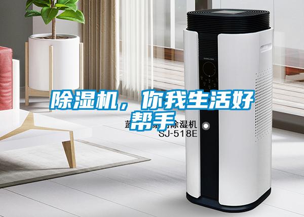 除濕機，你我生活好幫手