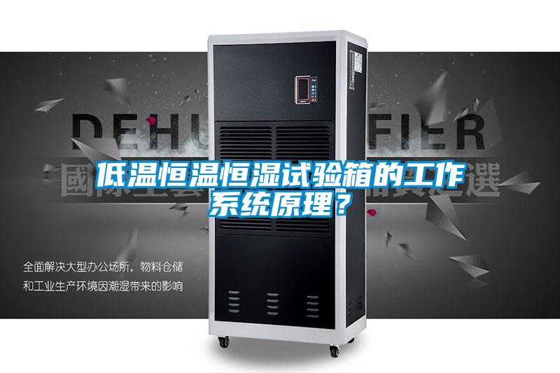 低溫恒溫恒濕試驗箱的工作系統原理？