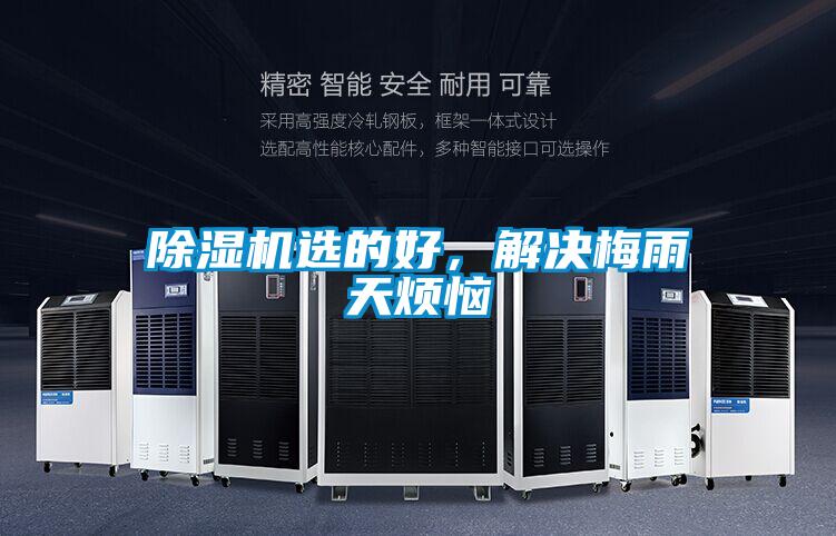 除濕機選的好，解決梅雨天煩惱
