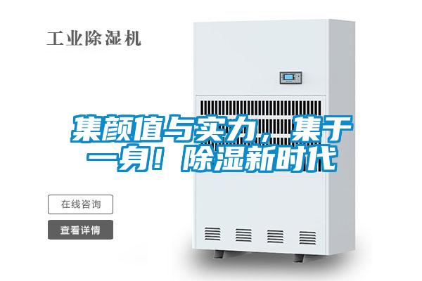 集顏值與實力，集于一身！除濕新時代