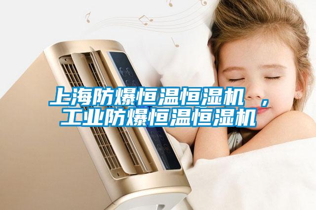 上海防爆恒溫恒濕機 ，工業防爆恒溫恒濕機