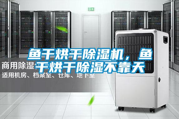 魚干烘干除濕機，魚干烘干除濕不靠天