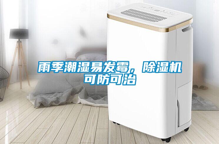 雨季潮濕易發霉，除濕機可防可治