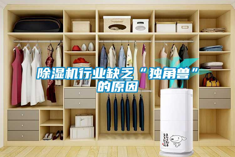 除濕機行業缺乏“獨角獸”的原因