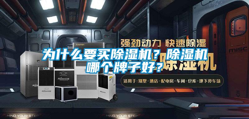 為什么要買除濕機？除濕機哪個牌子好？