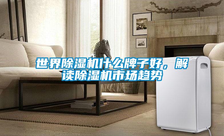 世界除濕機什么牌子好，解讀除濕機市場趨勢