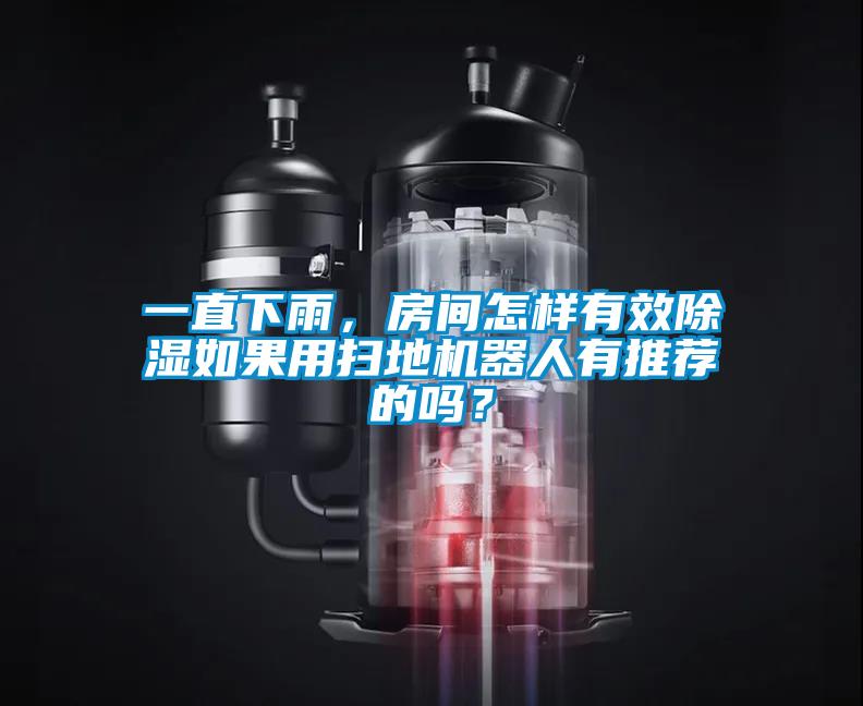 一直下雨，房間怎樣有效除濕如果用掃地機器人有推薦的嗎？