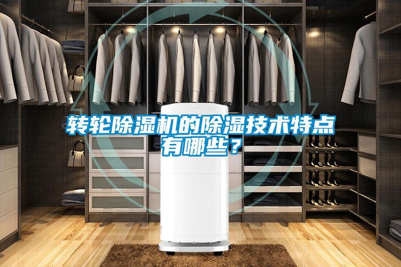 轉輪除濕機的除濕技術特點有哪些？