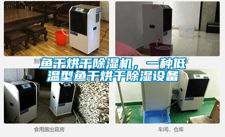 魚干烘干除濕機，一種低溫型魚干烘干除濕設備