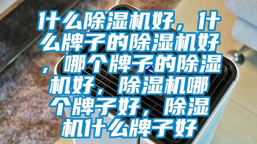 什么除濕機好，什么牌子的除濕機好，哪個牌子的除濕機好，除濕機哪個牌子好，除濕機什么牌子好