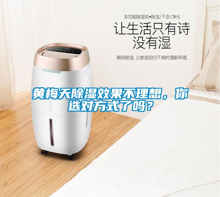 黃梅天除濕效果不理想，你選對方式了嗎？