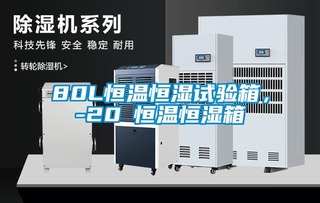 80L恒溫恒濕試驗箱，-20℃恒溫恒濕箱