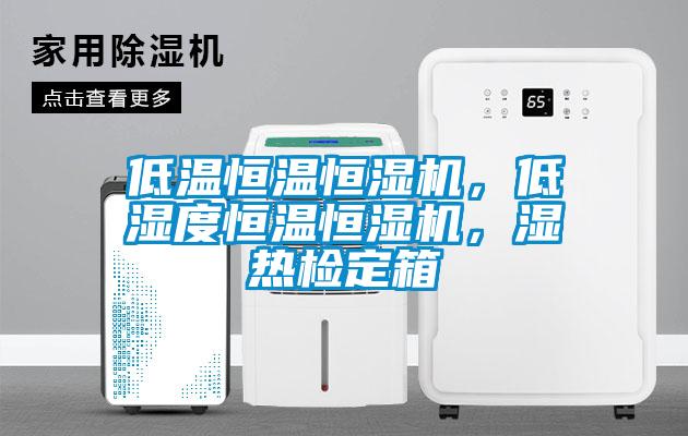 低溫恒溫恒濕機，低濕度恒溫恒濕機，濕熱檢定箱