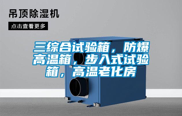 三綜合試驗箱，防爆高溫箱，步入式試驗箱，高溫老化房