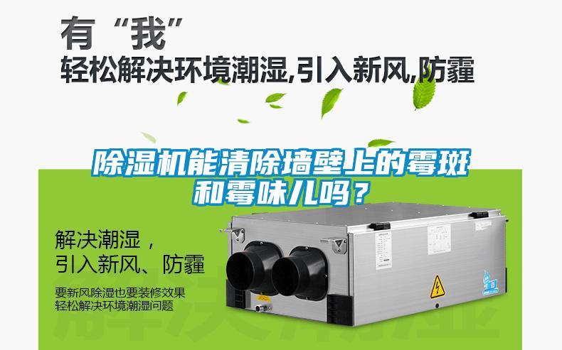 除濕機能清除墻壁上的霉斑和霉味兒嗎？
