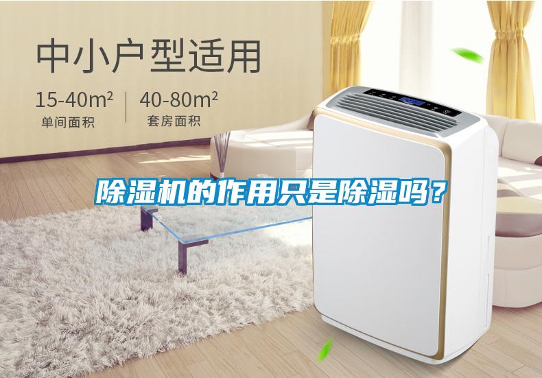除濕機的作用只是除濕嗎？