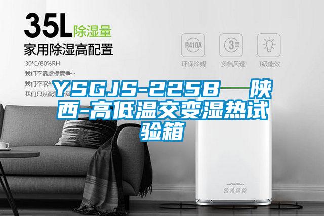 YSGJS-225B  陜西-高低溫交變濕熱試驗箱