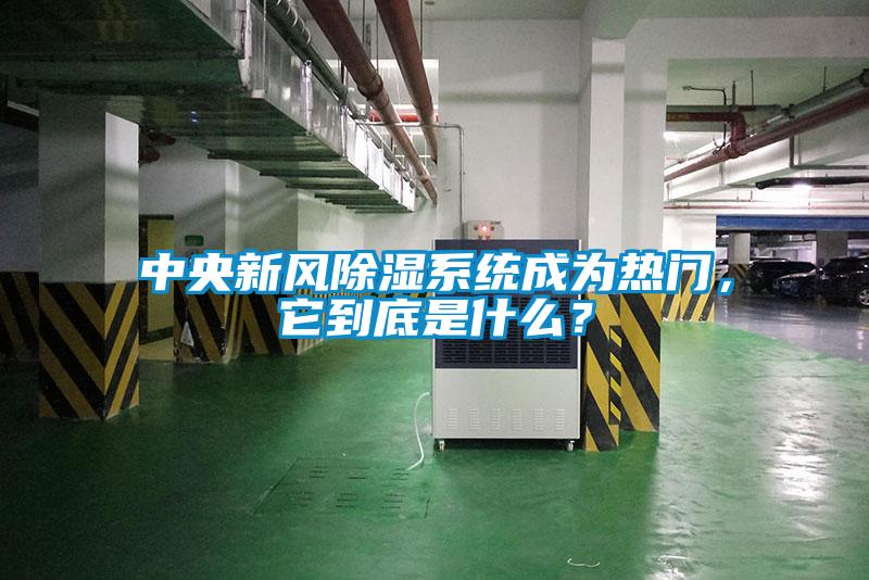 中央新風除濕系統成為熱門，它到底是什么？