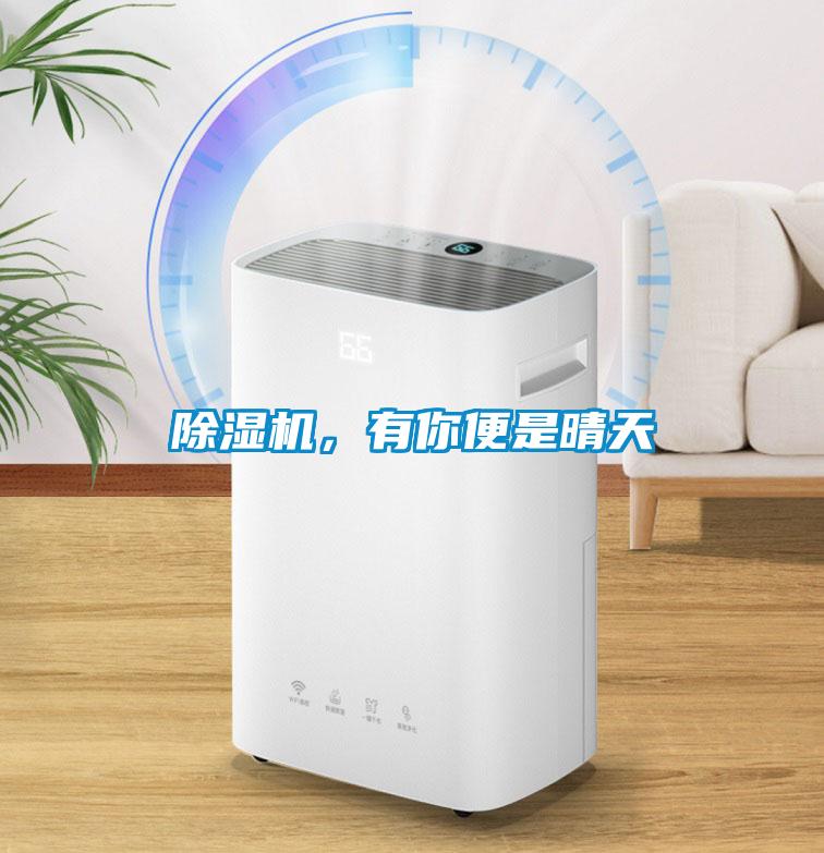 除濕機，有你便是晴天