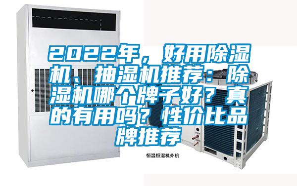 2022年，好用除濕機、抽濕機推薦：除濕機哪個牌子好？真的有用嗎？性價比品牌推薦