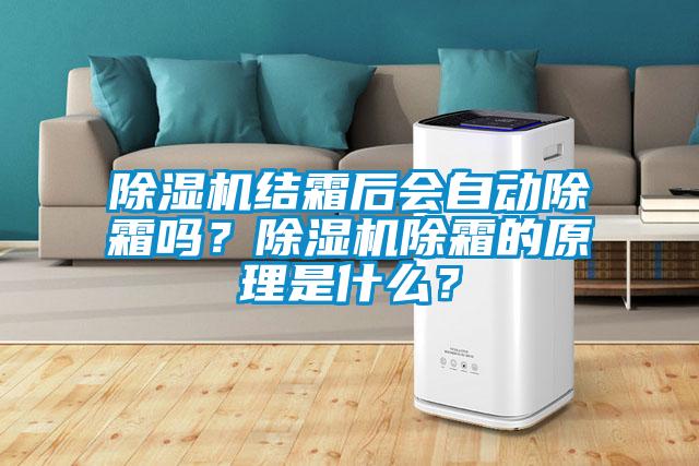 除濕機結霜后會自動除霜嗎？除濕機除霜的原理是什么？