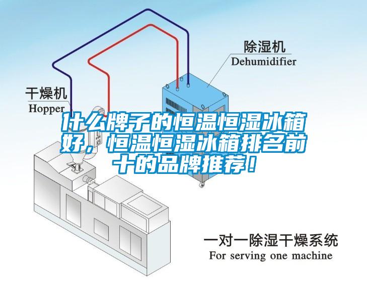 什么牌子的恒溫恒濕冰箱好，恒溫恒濕冰箱排名前十的品牌推薦！