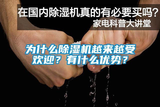為什么除濕機越來越受歡迎？有什么優勢？