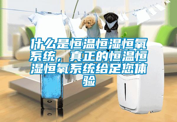什么是恒溫恒濕恒氧系統，真正的恒溫恒濕恒氧系統給足您體驗