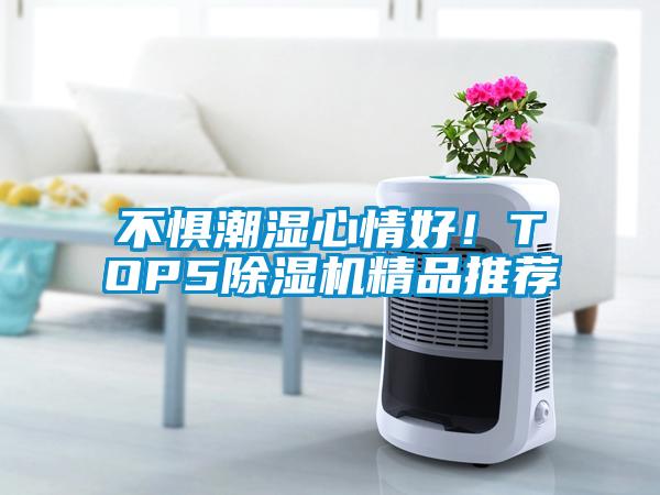 不懼潮濕心情好！TOP5除濕機精品推薦