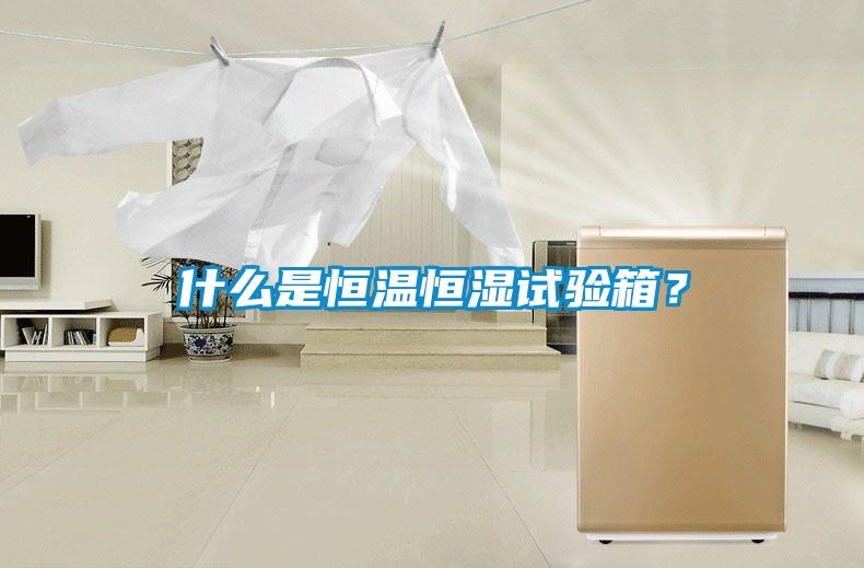 什么是恒溫恒濕試驗箱？