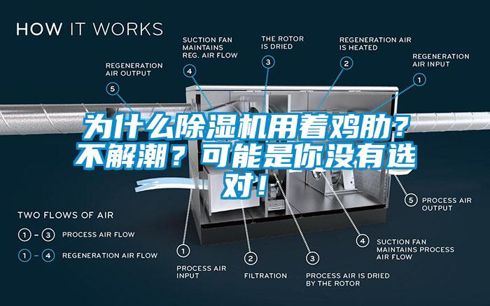 為什么除濕機用著雞肋？不解潮？可能是你沒有選對！