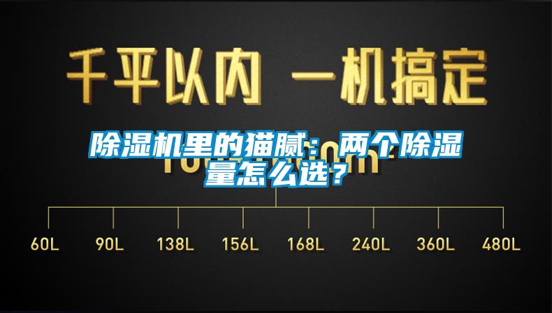 除濕機里的貓膩：兩個除濕量怎么選？
