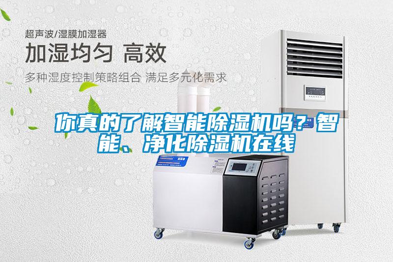 你真的了解智能除濕機嗎？智能、凈化除濕機在線