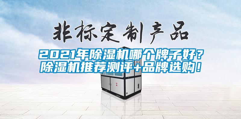 2021年除濕機哪個牌子好？除濕機推薦測評+品牌選購！