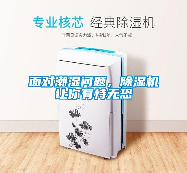 面對潮濕問題，除濕機讓你有恃無恐