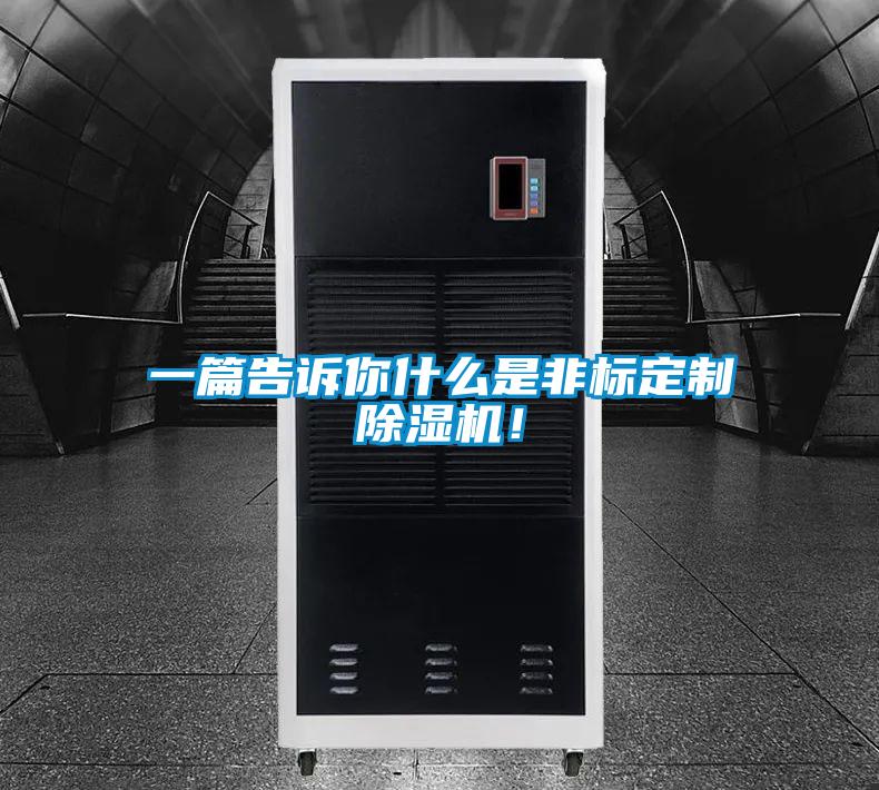 一篇告訴你什么是非標定制除濕機！