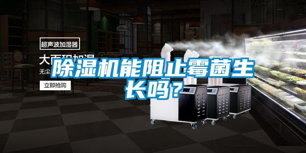 除濕機能阻止霉菌生長嗎？