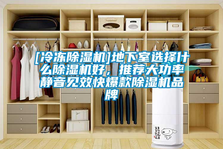 [冷凍除濕機]地下室選擇什么除濕機好，推薦大功率靜音見效快爆款除濕機品牌
