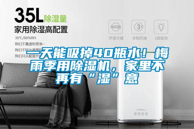 一天能吸掉40瓶水！梅雨季用除濕機，家里不再有“濕”意