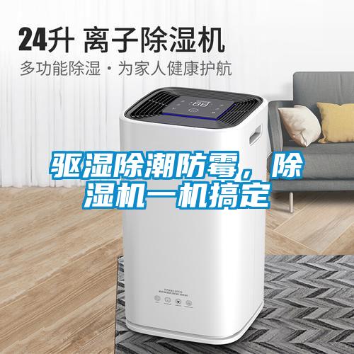 驅濕除潮防霉，除濕機一機搞定
