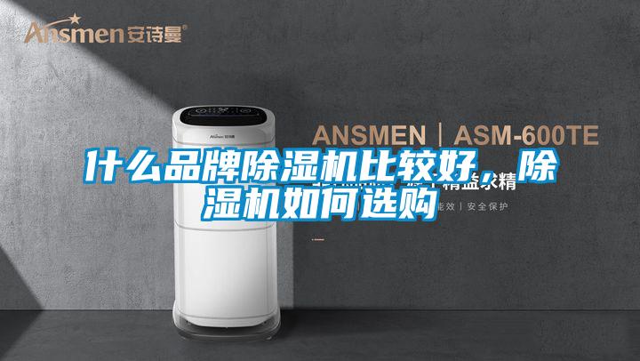 什么品牌除濕機比較好，除濕機如何選購