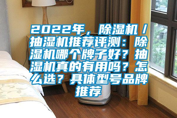 2022年，除濕機／抽濕機推薦評測：除濕機哪個牌子好？抽濕機真的有用嗎？怎么選？具體型號品牌推薦