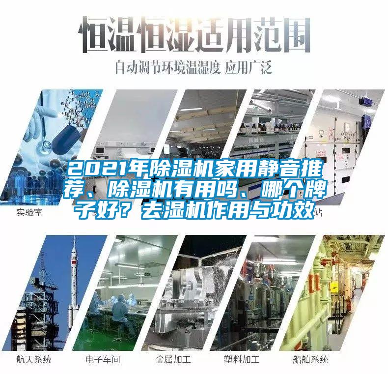 2021年除濕機家用靜音推薦、除濕機有用嗎、哪個牌子好？去濕機作用與功效