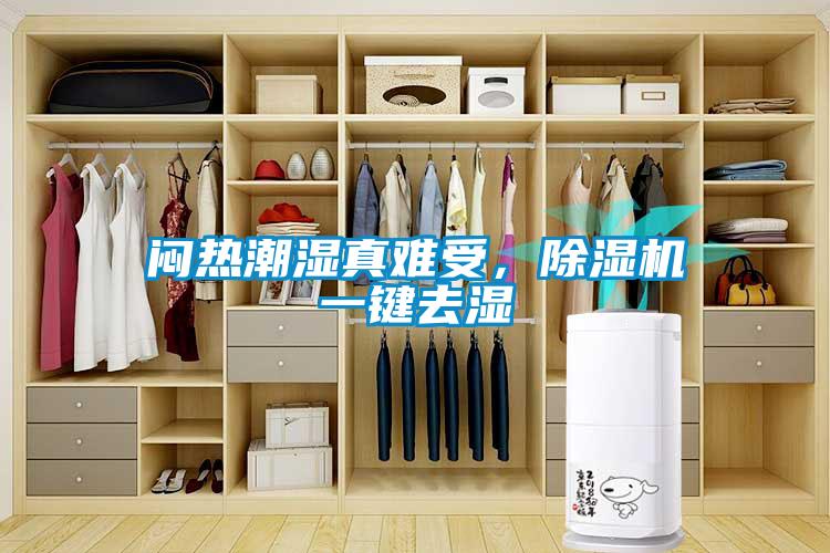 悶熱潮濕真難受，除濕機一鍵去濕