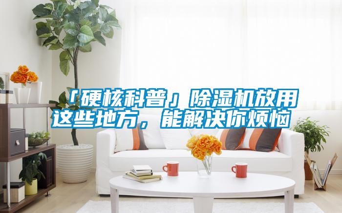 「硬核科普」除濕機放用這些地方，能解決你煩惱
