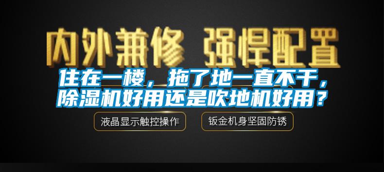 住在一樓，拖了地一直不干，除濕機好用還是吹地機好用？