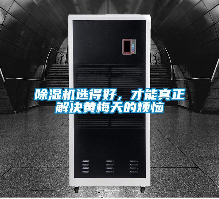 除濕機選得好，才能真正解決黃梅天的煩惱