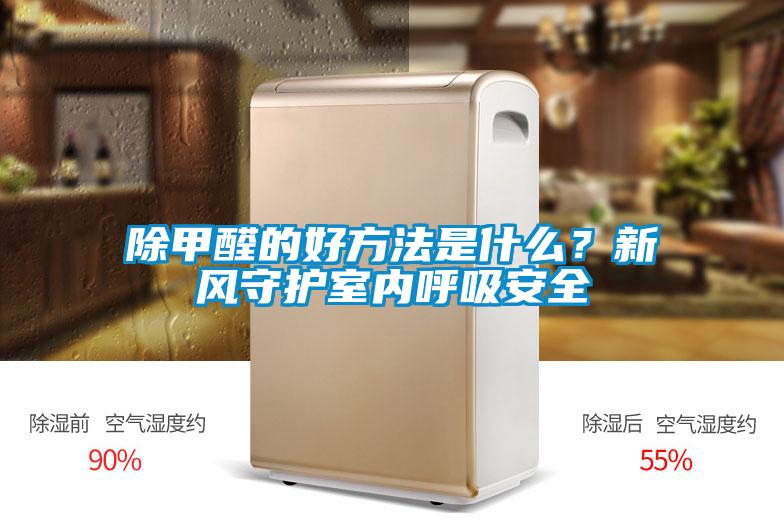 除甲醛的好方法是什么？新風守護室內呼吸安全